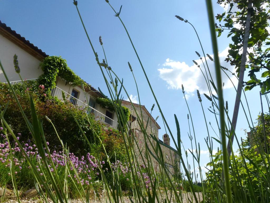 Casarciccia Pensionat Todi Rum bild